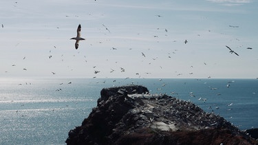 Filmbild Vogelperspektiven | Bild: BR