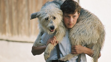 Toni (Lorenz Strasser) rettet seinen Hund Strupp. | Bild: BR/KEVIN LEE Film GmbH/Meike Birck