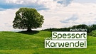 Key Visual Sendereihenbild mit Typo zu "Zwischen Spessart und Karwendel". | Bild: BR