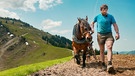 Bäne, Bergmensch der Staffel 11, führt eines seiner Pferde beim Ackern | Bild: BR/Luis Trautmann