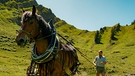 Bäne, Bergmensch der Staffel 11, mit Pferde auf der Alpe | Bild: BR/Luis Trautmann