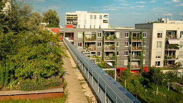 Dachgärten bringen ein Stück Natur zurück in die Stadt | Bild: André Goerschel