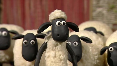 Shaun das Schaf beim Ausflug | Bild: Aardman Animations Ltd./BR/WDR