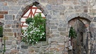 In der Ruine der ehemaligen Spitalkirche St. Leonhard. | Bild: Helmut Polster, Lauf a.d. Pegnitz, 15.04.2024