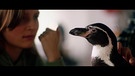 Kino Tipp: Die Chaosschwestern und Pinguin Paul | Bild: Bayerischer Rundfunk 2024