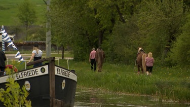 Das Treidelschiff Elfriede wird über den Ludwigskanal von Pferden gezogen. | Bild: BR