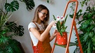 Frau pflegt eine Orchidee in einem Blumentopf, der auf einer Leiter steht | Bild: mauritius images / Alamy Stock Photos / Dmitry Marchenko