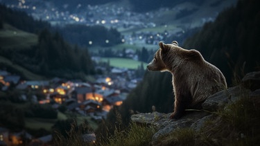 DOK.fest 2024: Gefährlich nah - Wenn Bären töten  | Bild: BR/beetz brothers film production/ Martin Eichhorn, mit Hilfe von KI erstellt. 